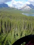 Cdn Rockies Adventure (Aug 2010) - Talus - 004
